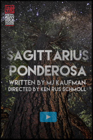 Sagittarius Ponderosa